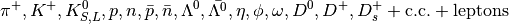 \pi^+, K^+, K^0_{S,L}, p, n, \bar{p}, \bar{n}, \Lambda^0,
\bar{\Lambda^0}, \eta, \phi, \omega, D^0, D^+, D^+_s +
{\rm c.c.} + {\rm leptons}